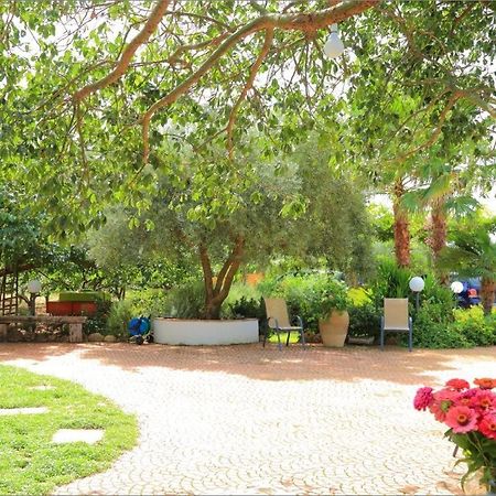 Villa Zahara ริเบรา ภายนอก รูปภาพ