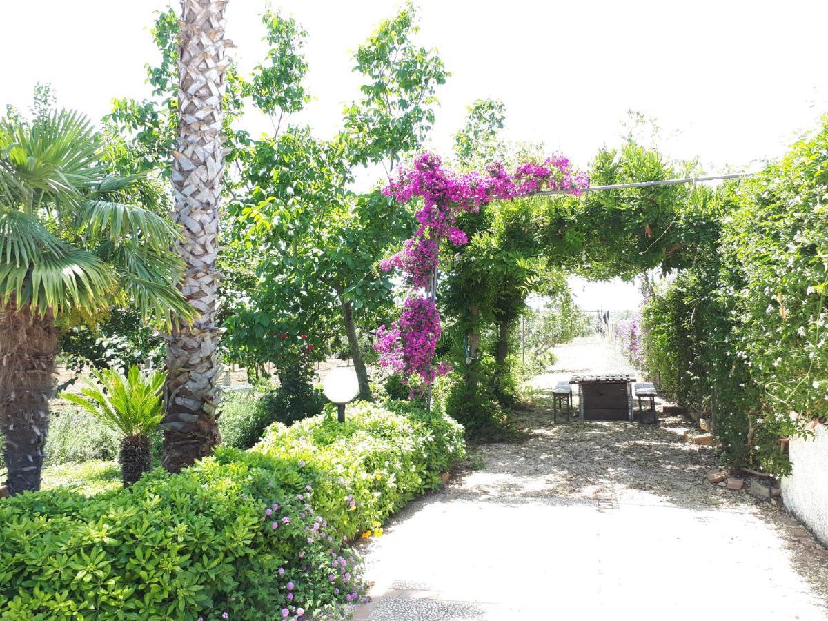 Villa Zahara ริเบรา ภายนอก รูปภาพ